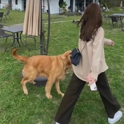 老子万岁粤语