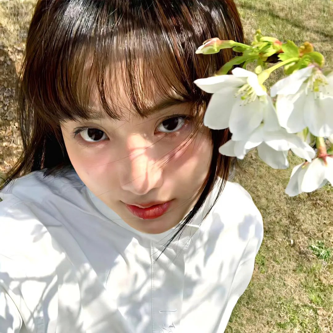 飞狗巴迪